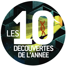 Les 10 découverte de l'année 2012