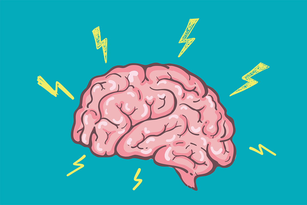 cerveau